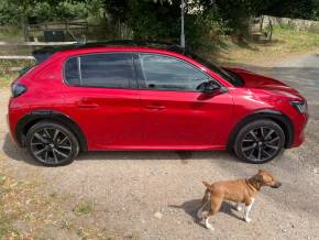PEUGEOT 208 2024 (24) at Hindmarch & Co Grantham